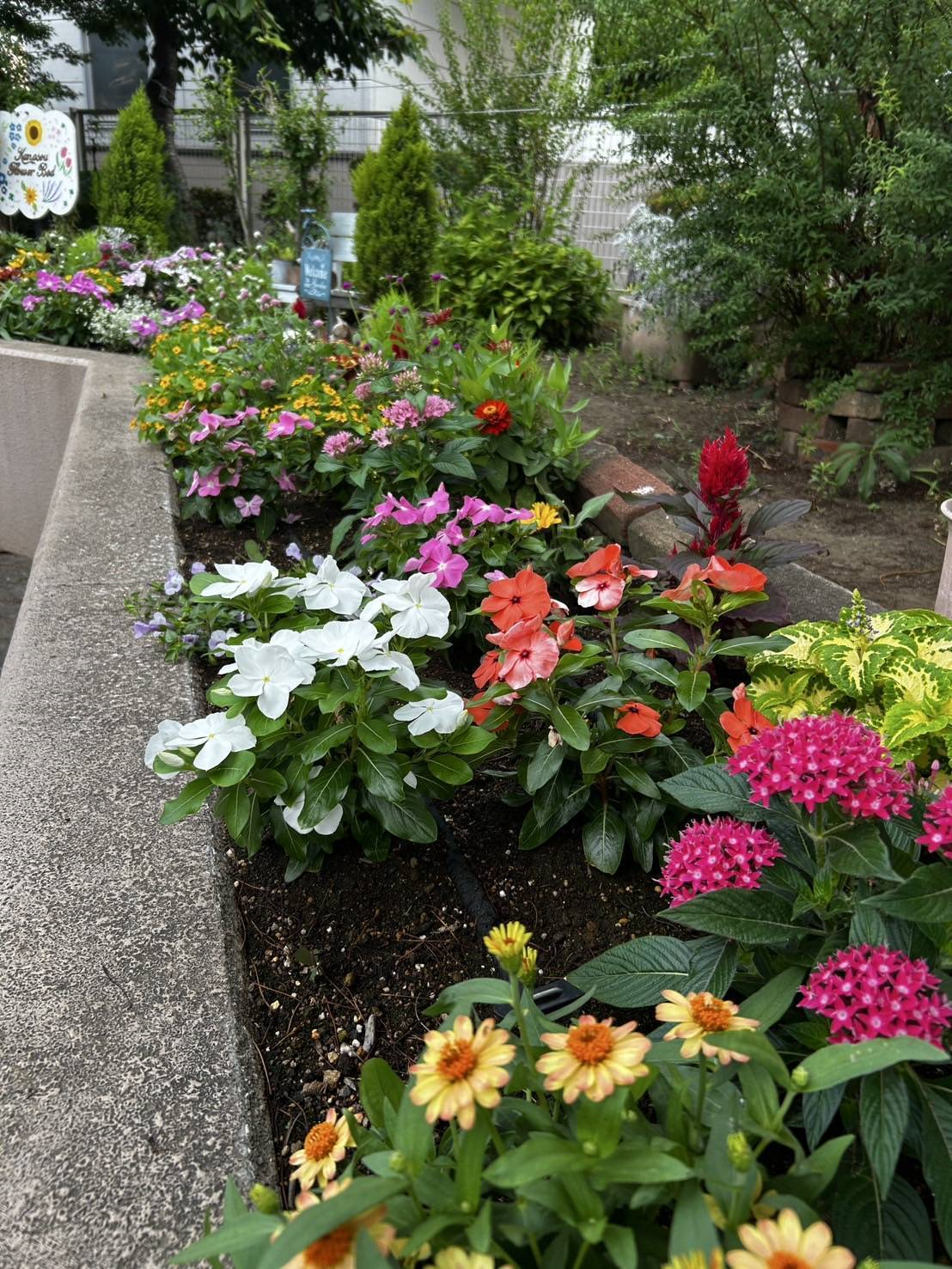 花いっぱいファミリー